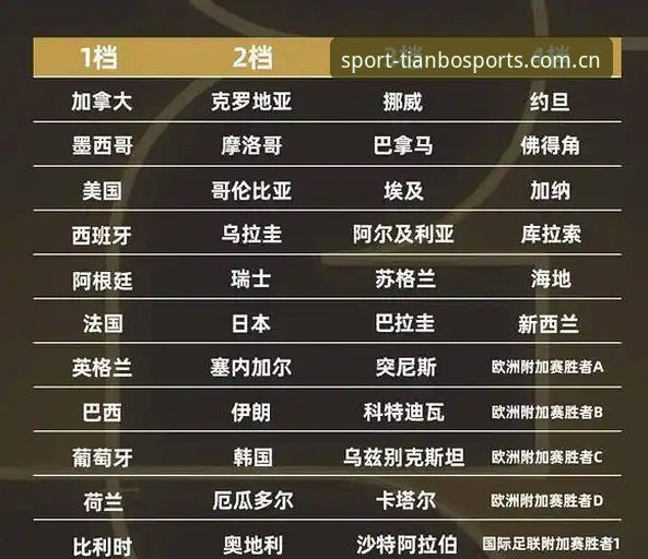 天博体育安卓版 世界杯观赛签证难题全解析——天博体育平台老用户实战经验分享